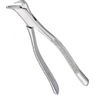 Extracting Forceps Adults 